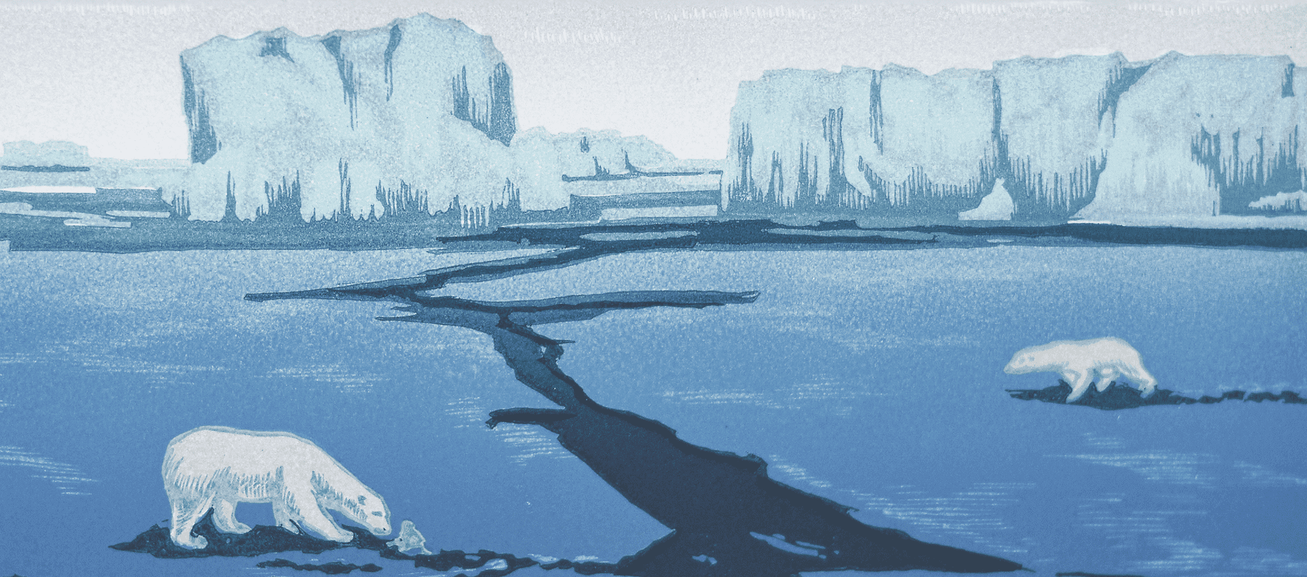 Исследователь и художник: искусство в экспедиции